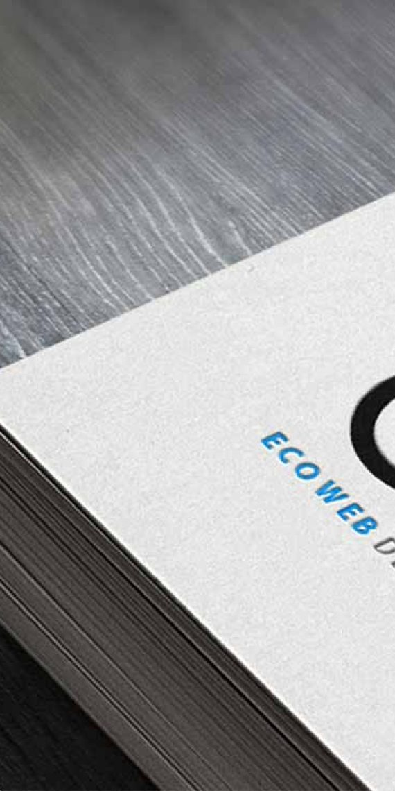 Eco Web Logo Design
