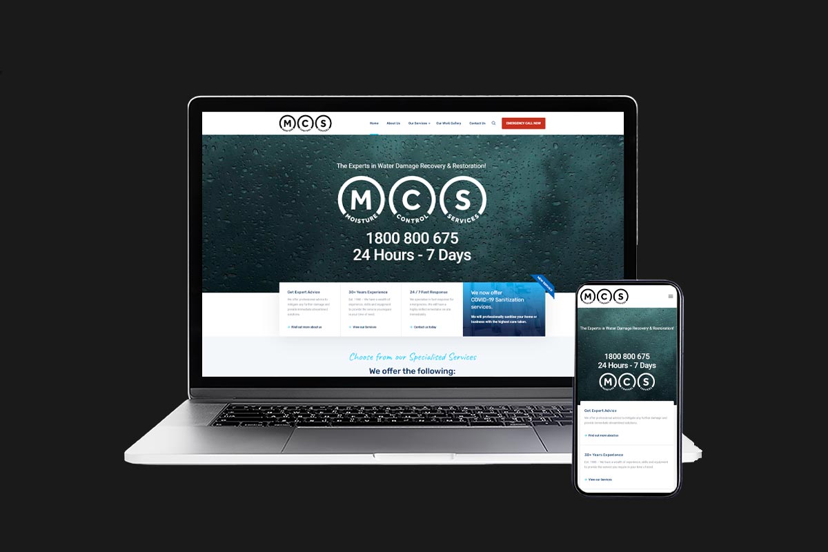 Moisture Control Services Web Development